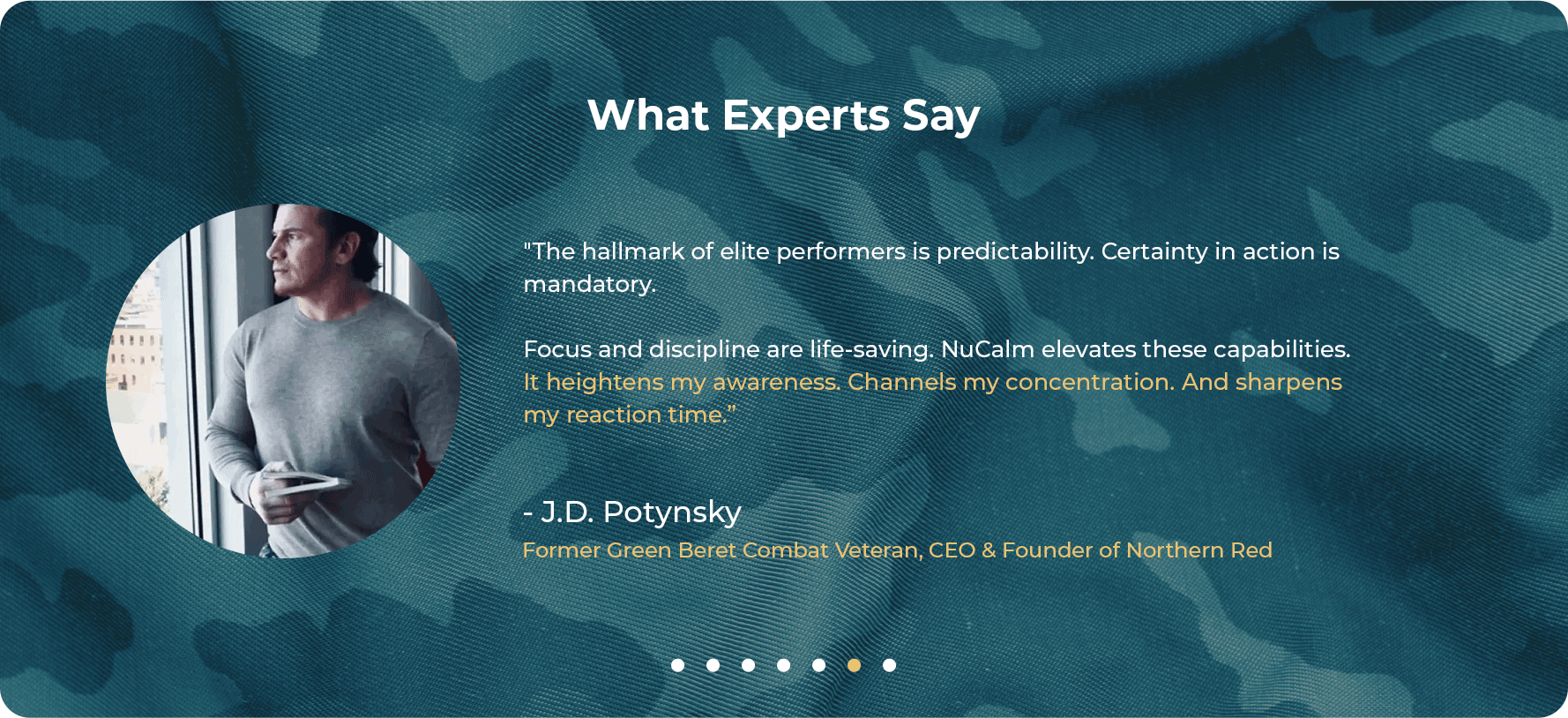 What Experts Say banner 6